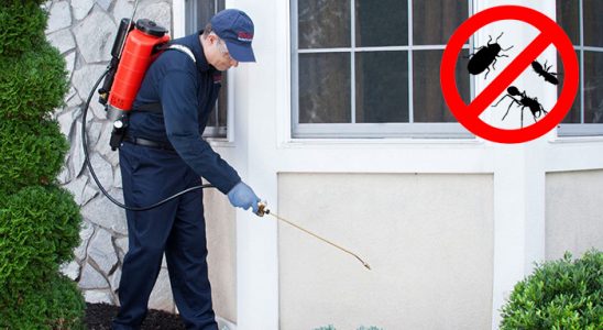 Yunak Hamam Böceği İlaçlama böcek ilaçlama ve haşere kontrolü — ilaclama-tr.com
